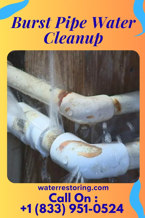 Burst Pipe Water Cleanup in Gurnee, IL